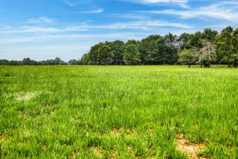 10610 Cr 322 Caldwell TX 77836