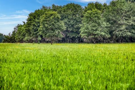 10610 Cr 322 Caldwell TX 77836
