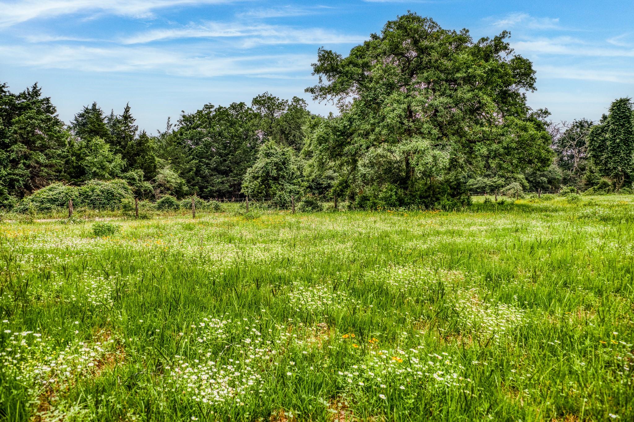 10610 Cr 322 Caldwell TX 77836