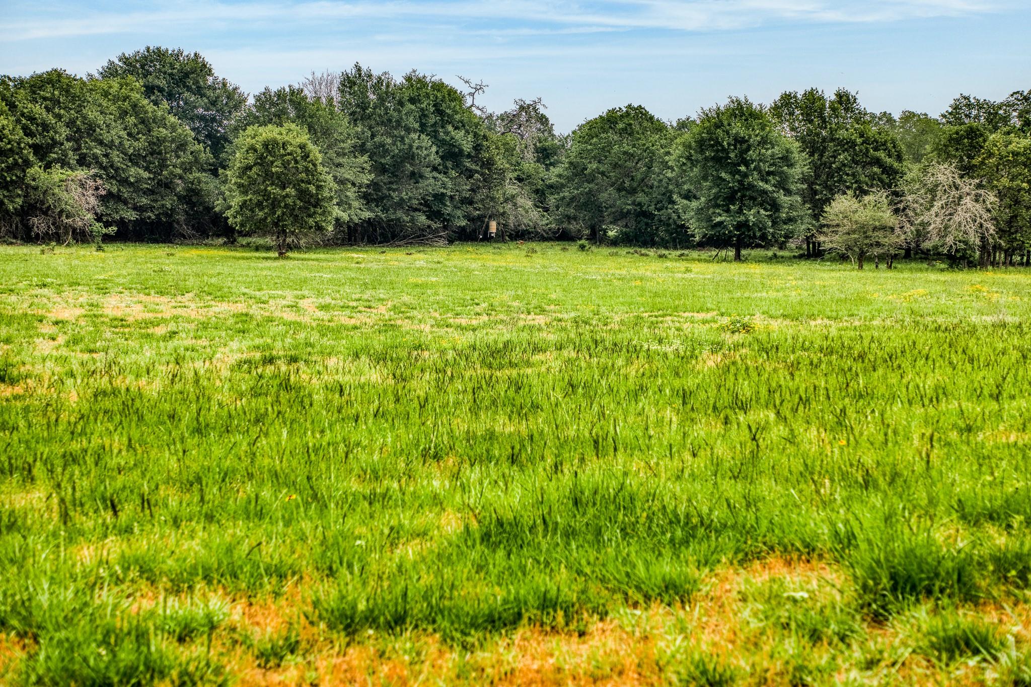 10610 Cr 322 Caldwell TX 77836