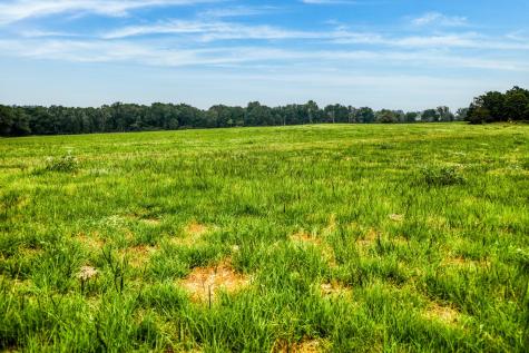 10610 Cr 322 Caldwell TX 77836
