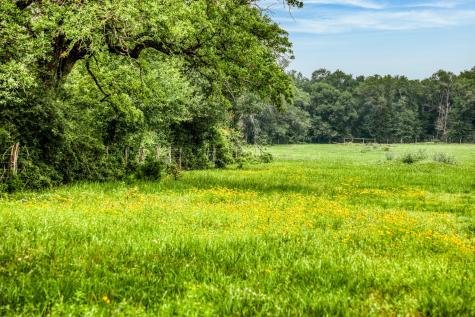 10610 Cr 322 Caldwell TX 77836