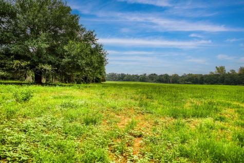 10610 Cr 322 Caldwell TX 77836