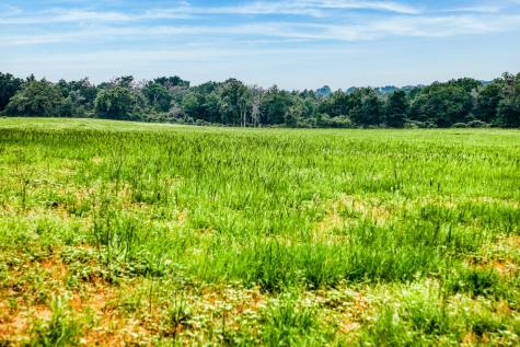 10610 Cr 322 Caldwell TX 77836