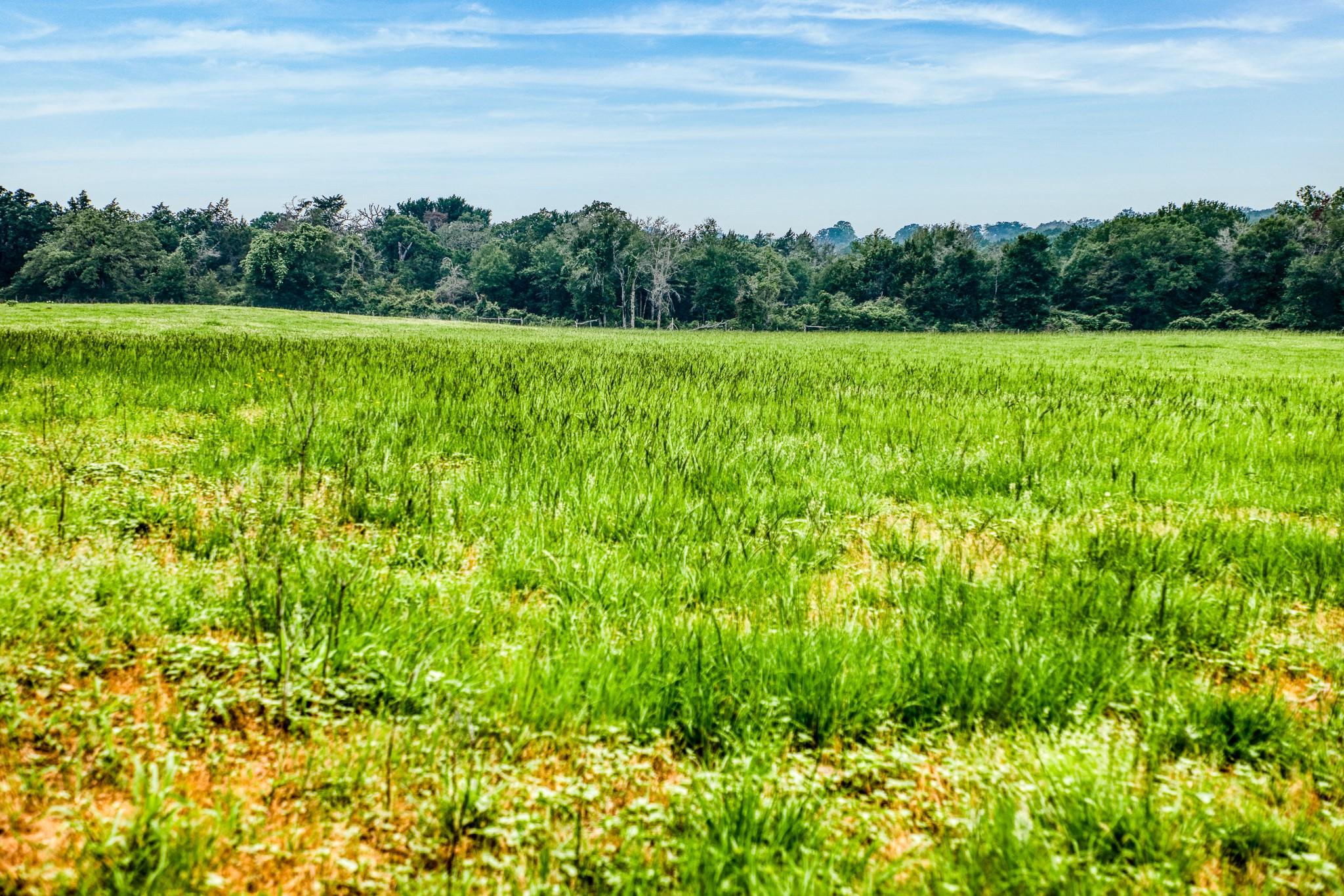 10610 Cr 322 Caldwell TX 77836