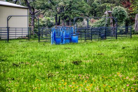 10610 Cr 322 Caldwell TX 77836