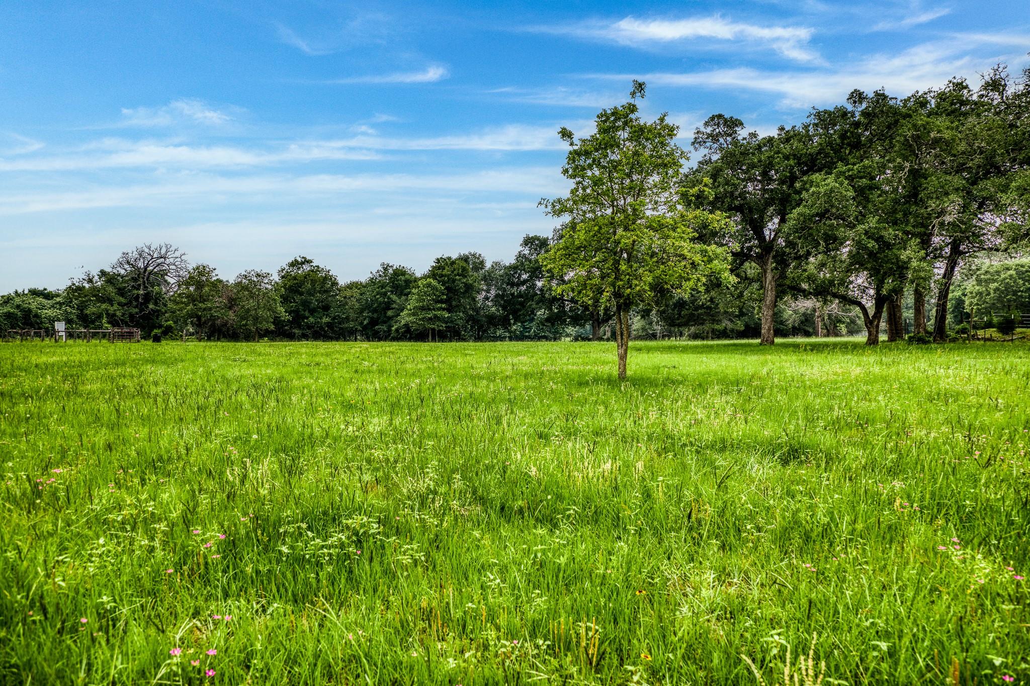 10610 Cr 322 Caldwell TX 77836