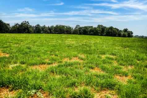 10610 Cr 322 Caldwell TX 77836