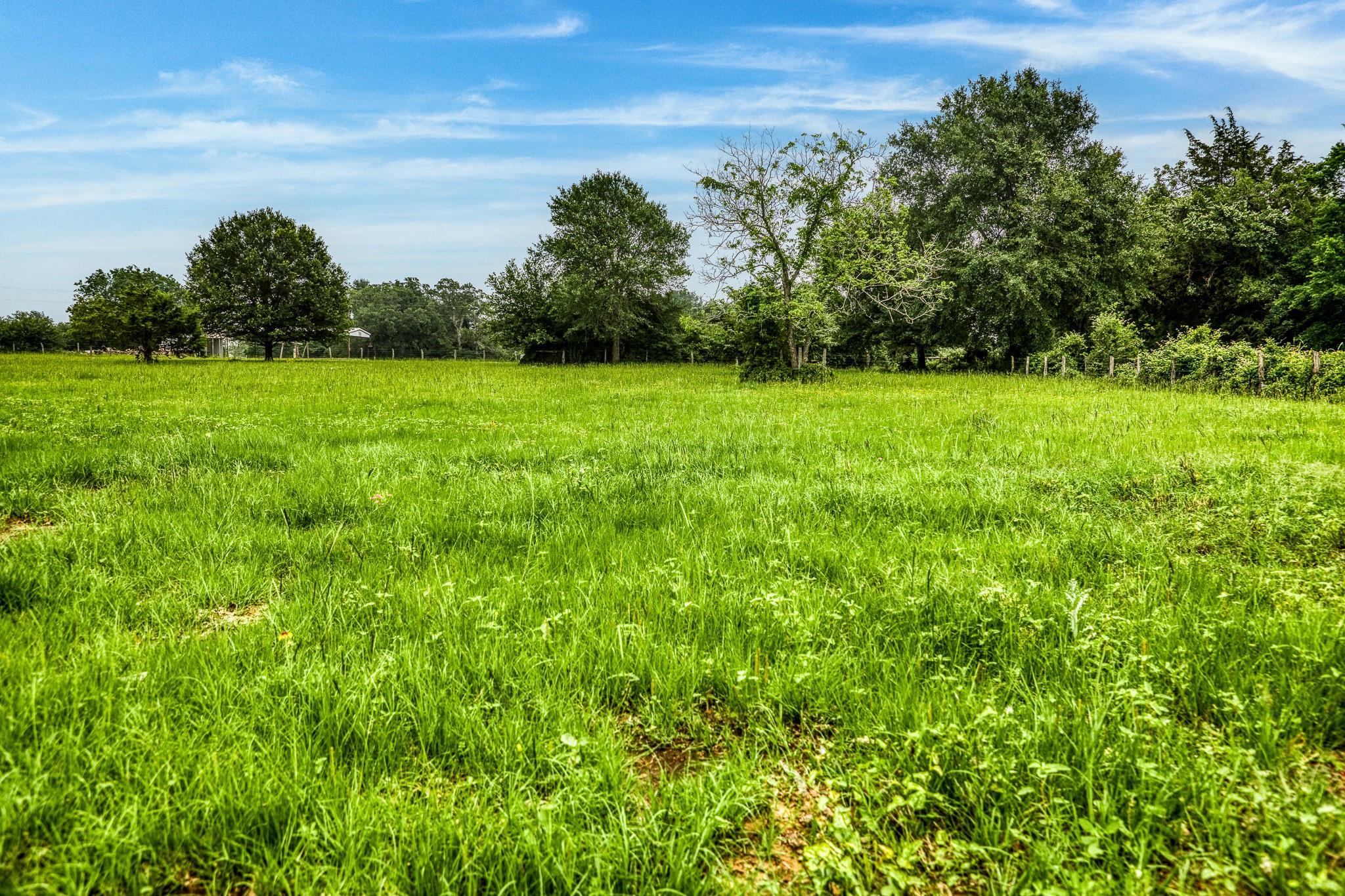 10610 Cr 322 Caldwell TX 77836