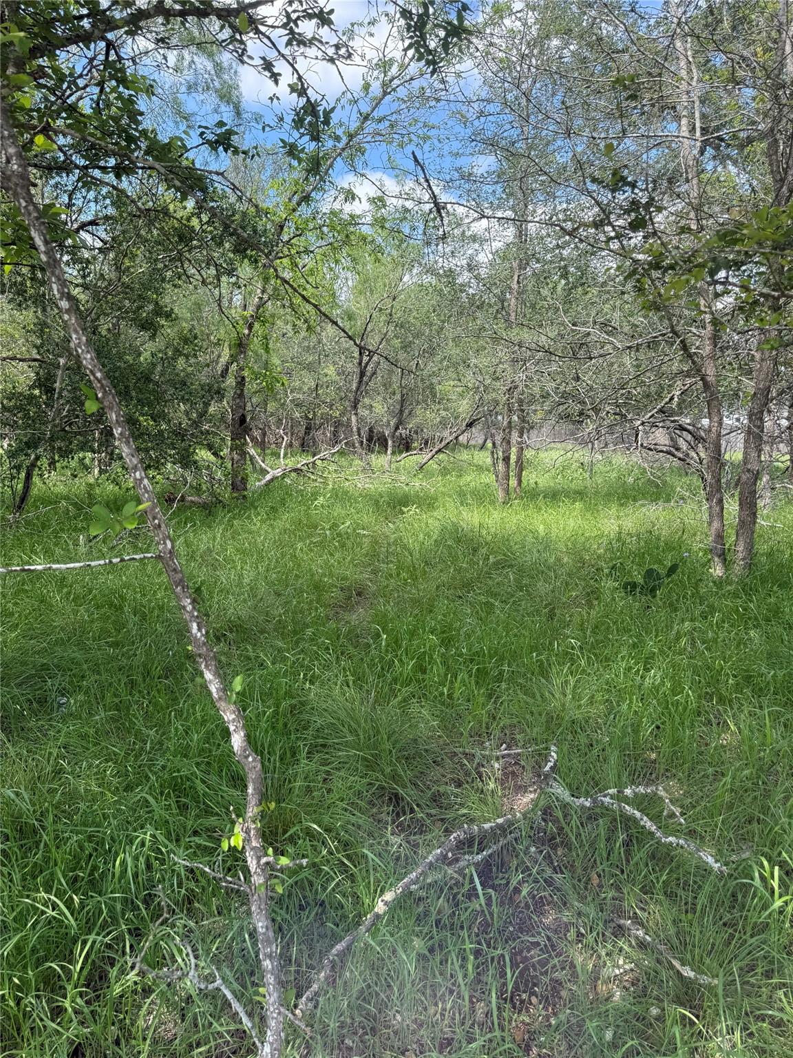 Lot 200 Nene Lane Bastrop TX 78602