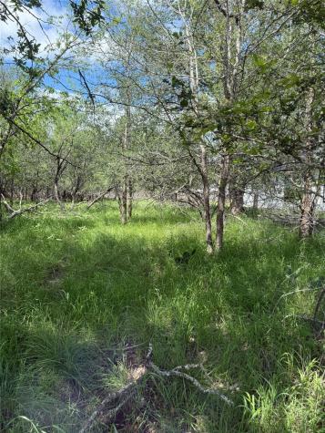 Lot 200 Nene Lane Bastrop TX 78602