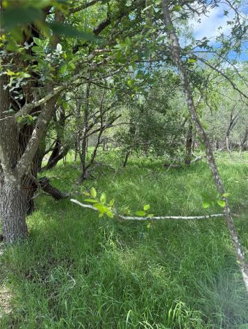 Lot 200 Nene Lane Bastrop TX 78602