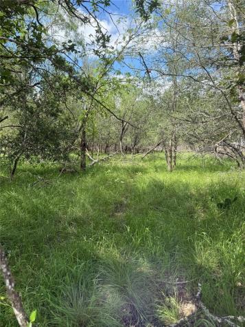 Lot 200 Nene Lane Bastrop TX 78602
