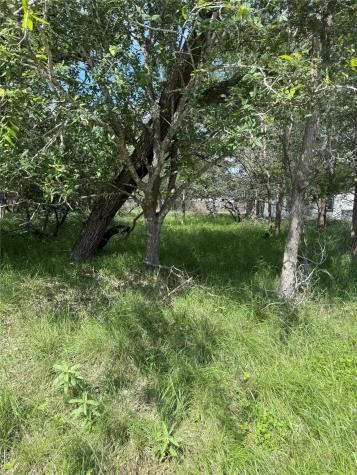 Lot 200 Nene Lane Bastrop TX 78602