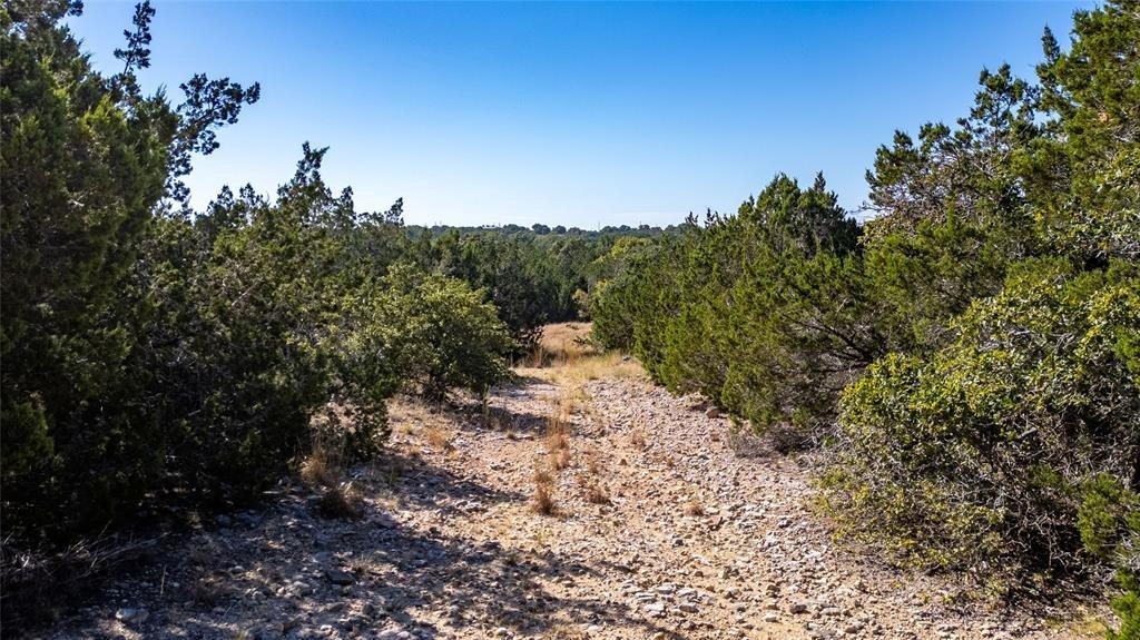 129 Lost Canyon Creek Bertram TX 78605