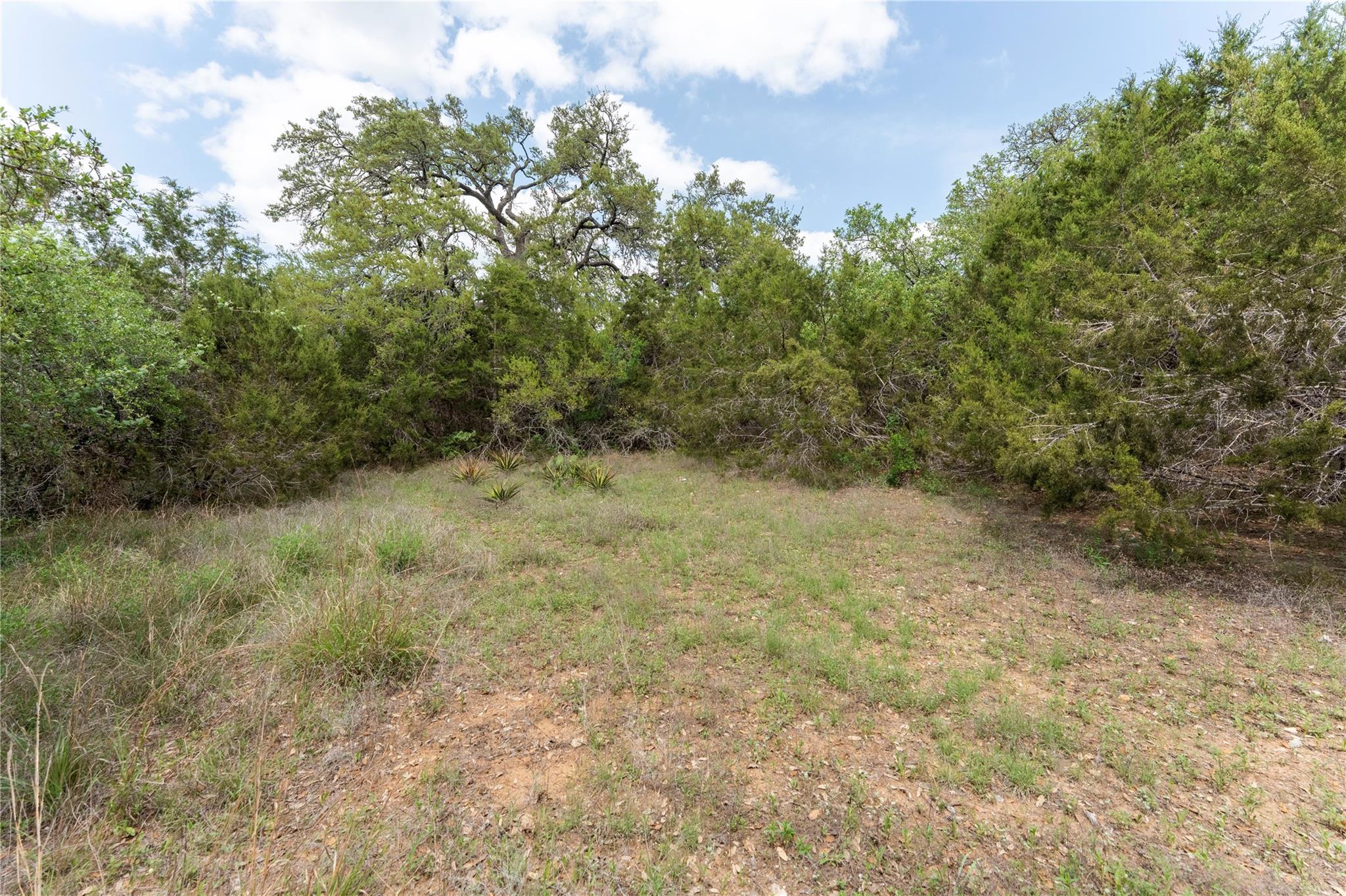 13921 Nutty Brown Road Austin TX 78737