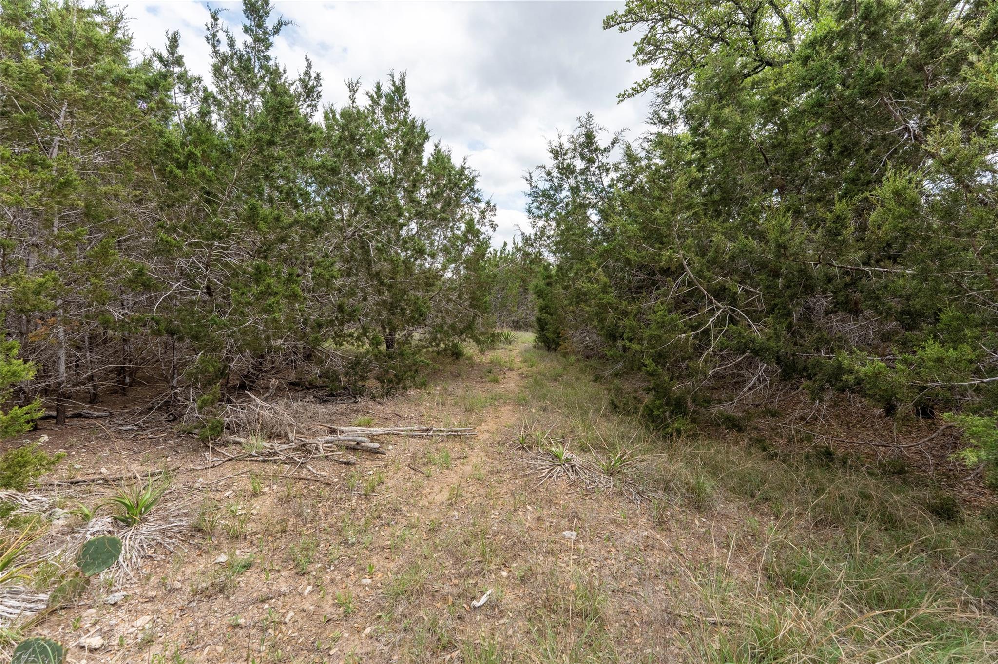 13921 Nutty Brown Road Austin TX 78737