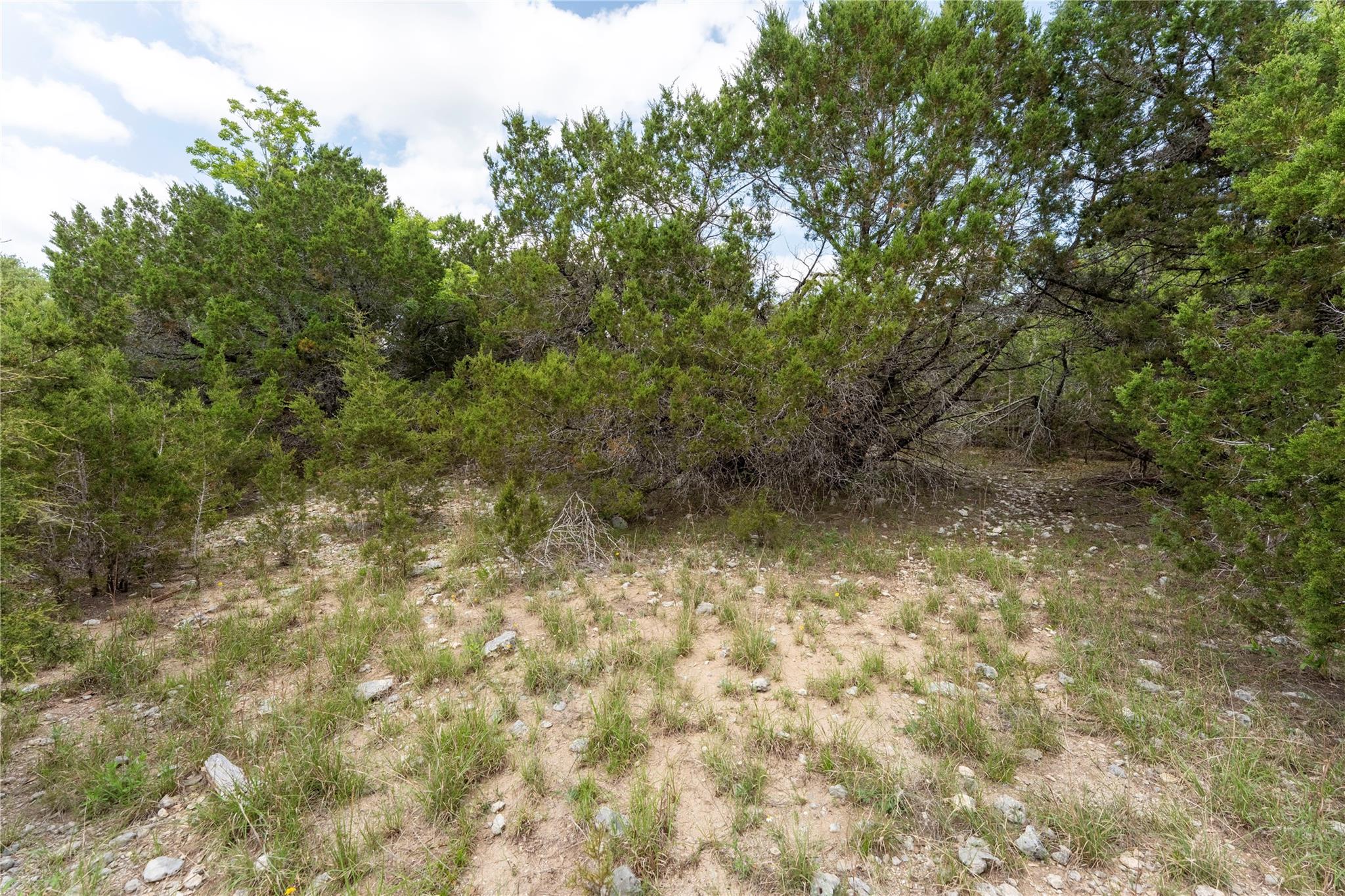 13921 Nutty Brown Road Austin TX 78737