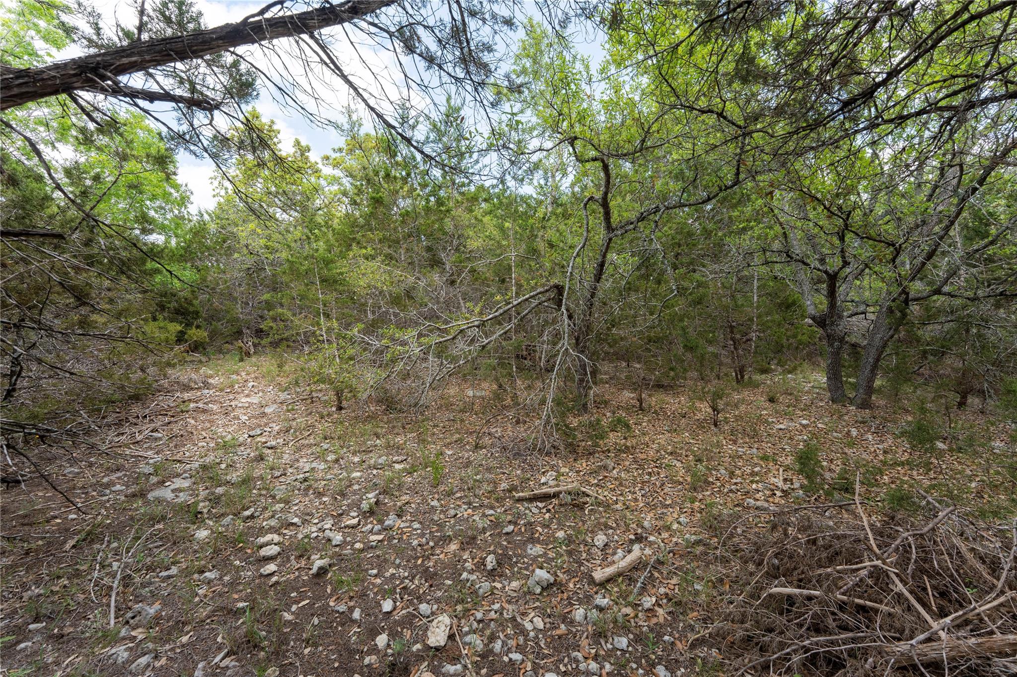 13921 Nutty Brown Road Austin TX 78737