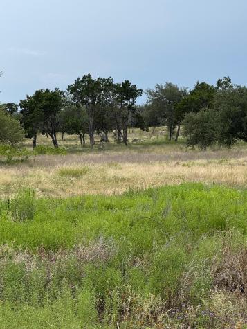 251 Pioneer Trail Dripping Springs TX 78620