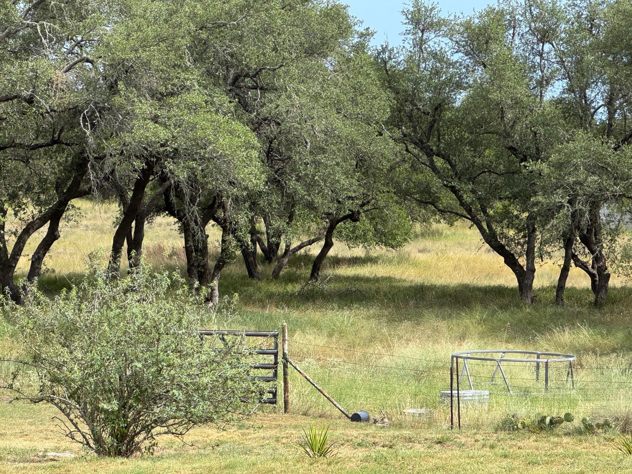 251 Pioneer Trail Dripping Springs TX 78620