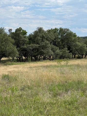 251 Pioneer Trail Dripping Springs TX 78620