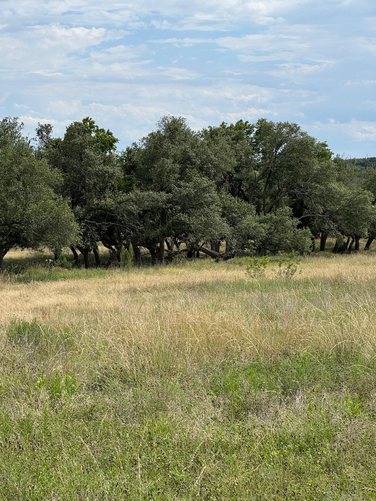 251 Pioneer Trail Dripping Springs TX 78620
