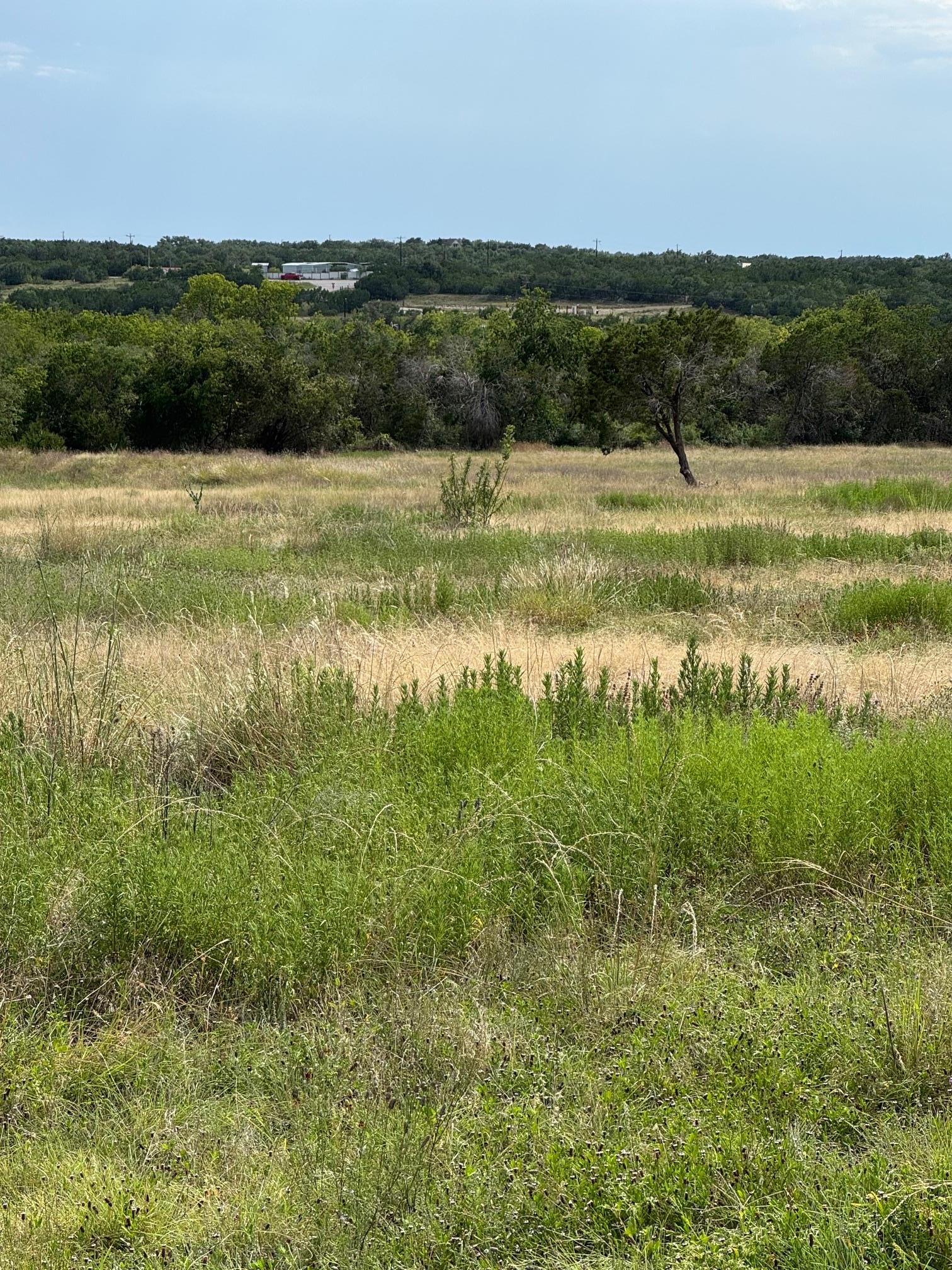 251 Pioneer Trail Dripping Springs TX 78620