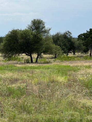 251 Pioneer Trail Dripping Springs TX 78620