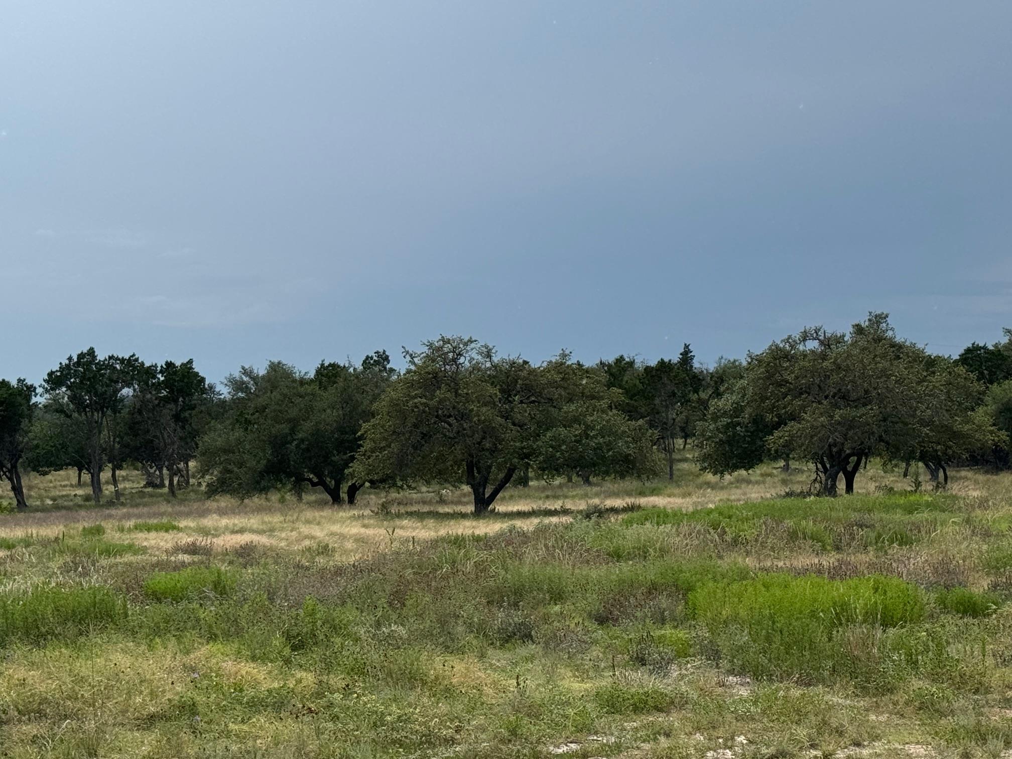 251 Pioneer Trail Dripping Springs TX 78620
