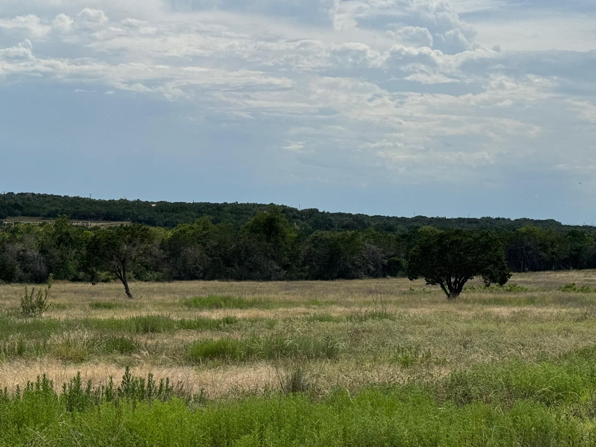 251 Pioneer Trail Dripping Springs TX 78620