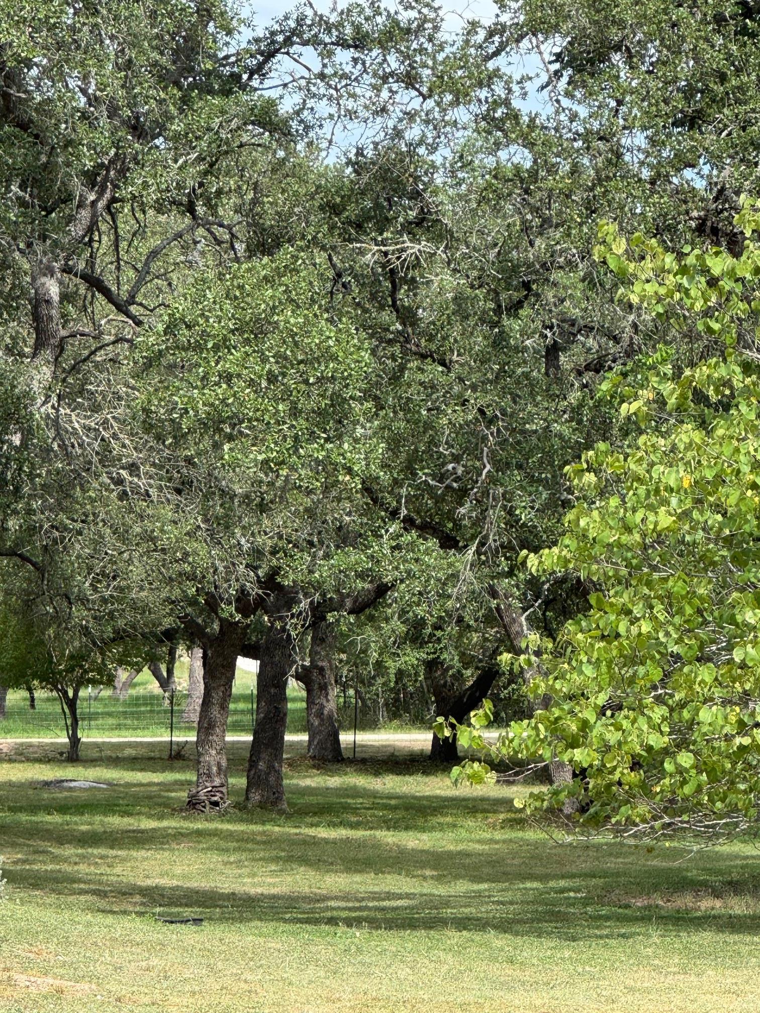 251 Pioneer Trail Dripping Springs TX 78620