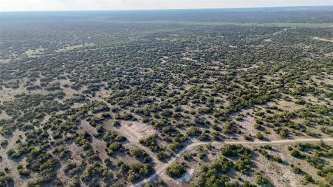 1595 Blackbuck Drive E Eldorado TX 76935