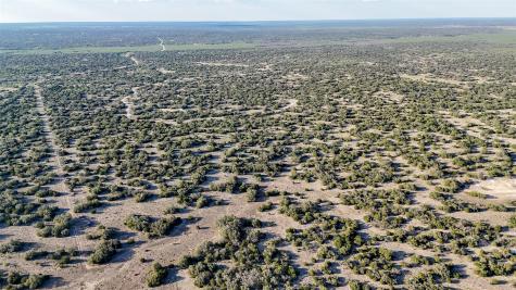 1595 Blackbuck Drive E Eldorado TX 76935