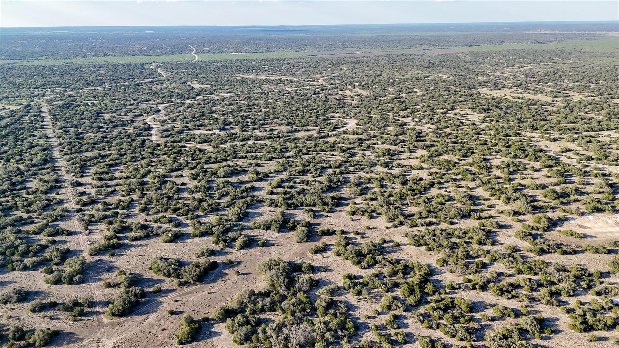 1595 Blackbuck Drive E Eldorado TX 76935