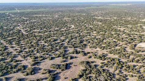 1595 Blackbuck Drive E Eldorado TX 76935
