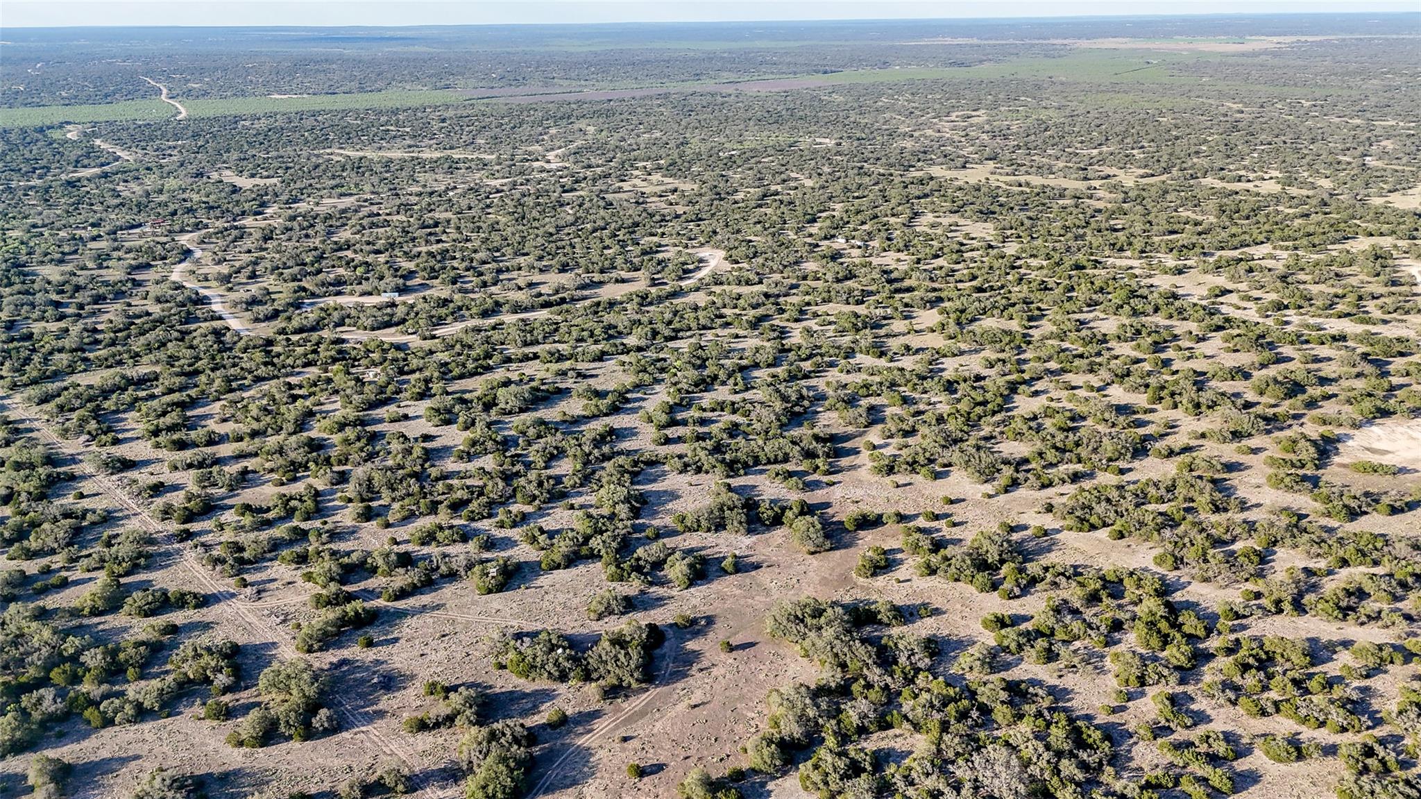 1595 Blackbuck Drive E Eldorado TX 76935