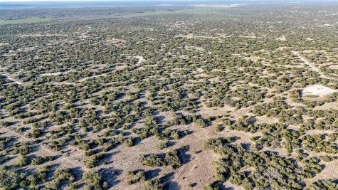 1595 Blackbuck Drive E Eldorado TX 76935