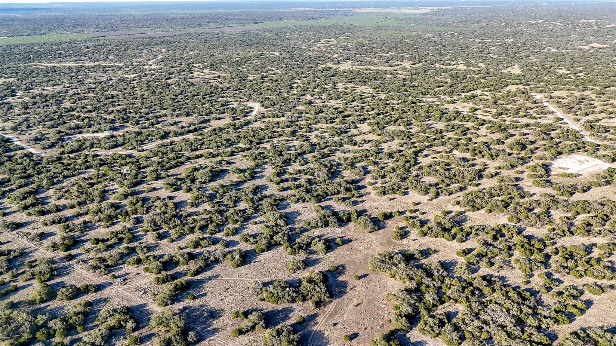 1595 Blackbuck Drive E Eldorado TX 76935
