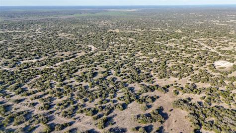 1595 Blackbuck Drive E Eldorado TX 76935