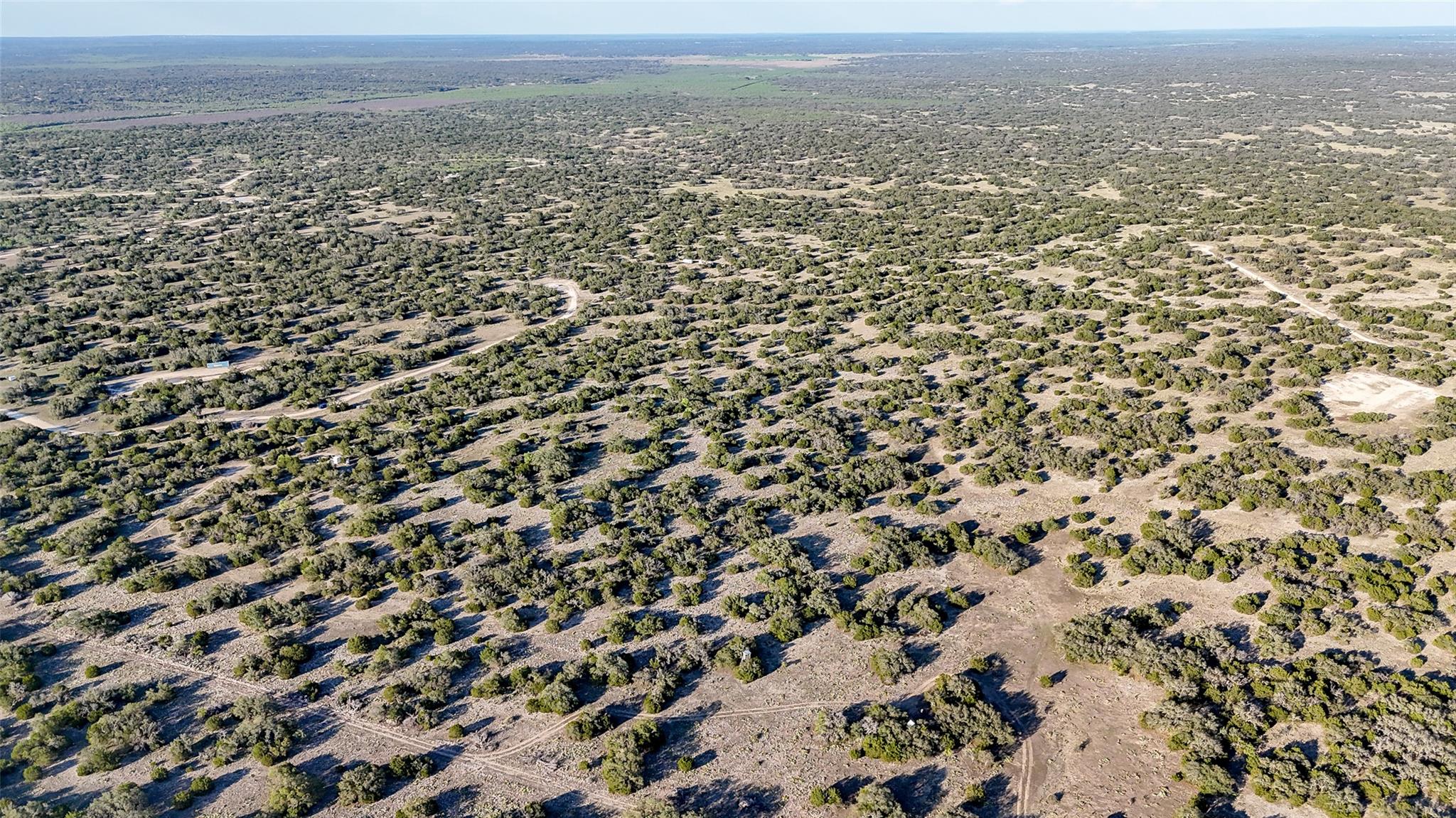 1595 Blackbuck Drive E Eldorado TX 76935