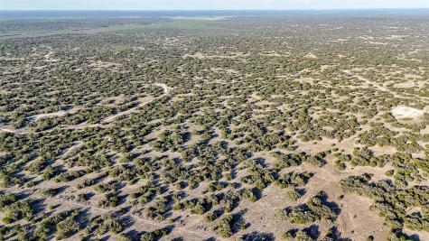 1595 Blackbuck Drive E Eldorado TX 76935