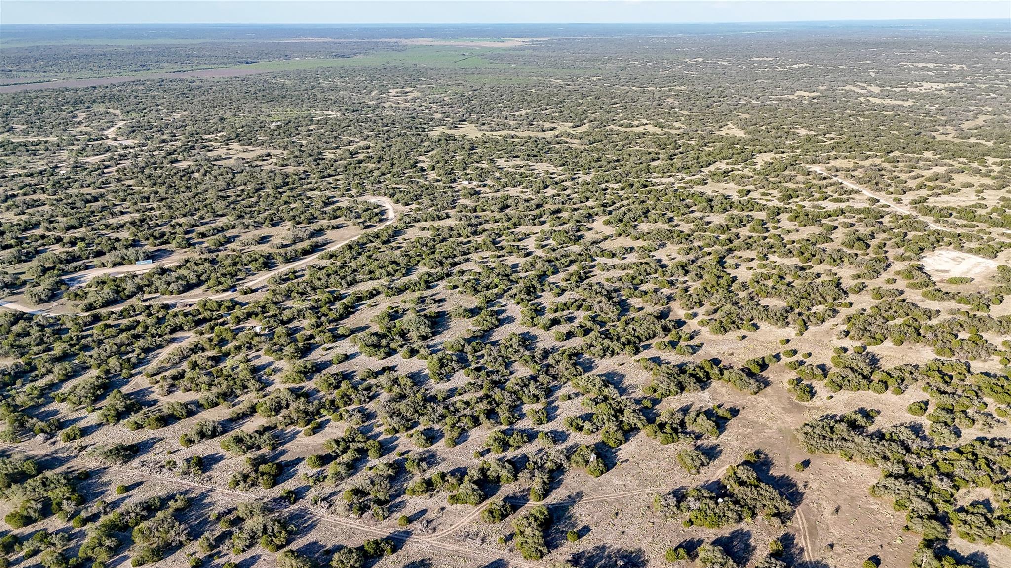1595 Blackbuck Drive E Eldorado TX 76935