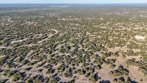 1595 Blackbuck Drive E Eldorado TX 76935