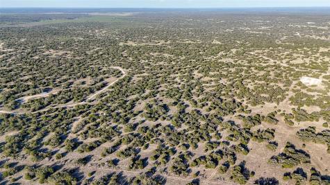 1595 Blackbuck Drive E Eldorado TX 76935