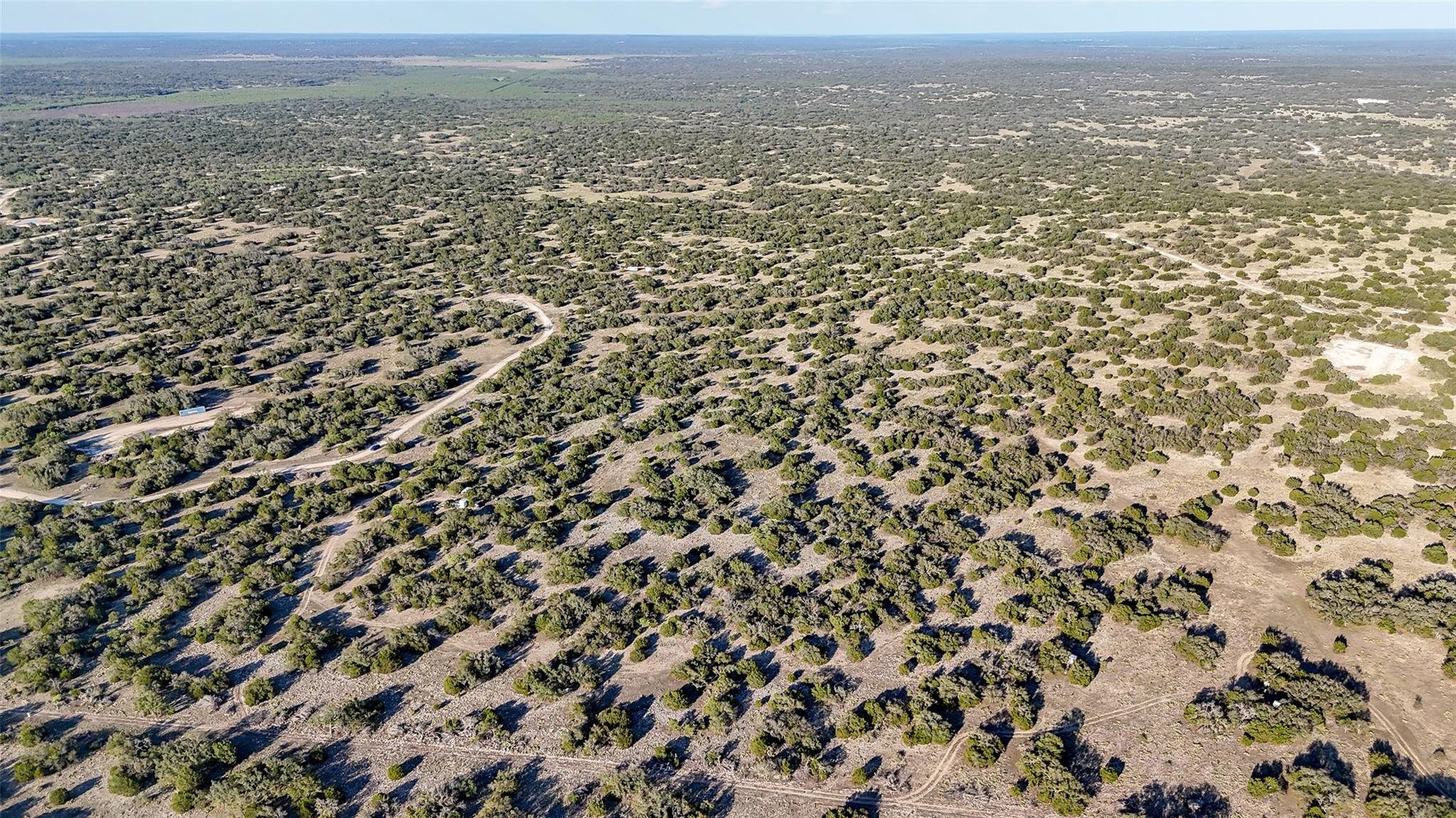 1595 Blackbuck Drive E Eldorado TX 76935