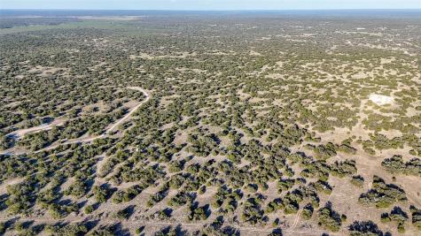 1595 Blackbuck Drive E Eldorado TX 76935
