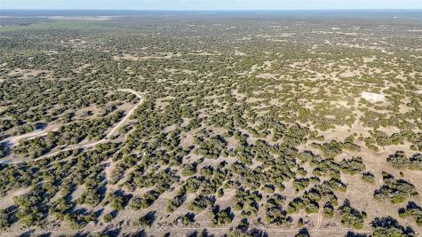 1595 Blackbuck Drive E Eldorado TX 76935