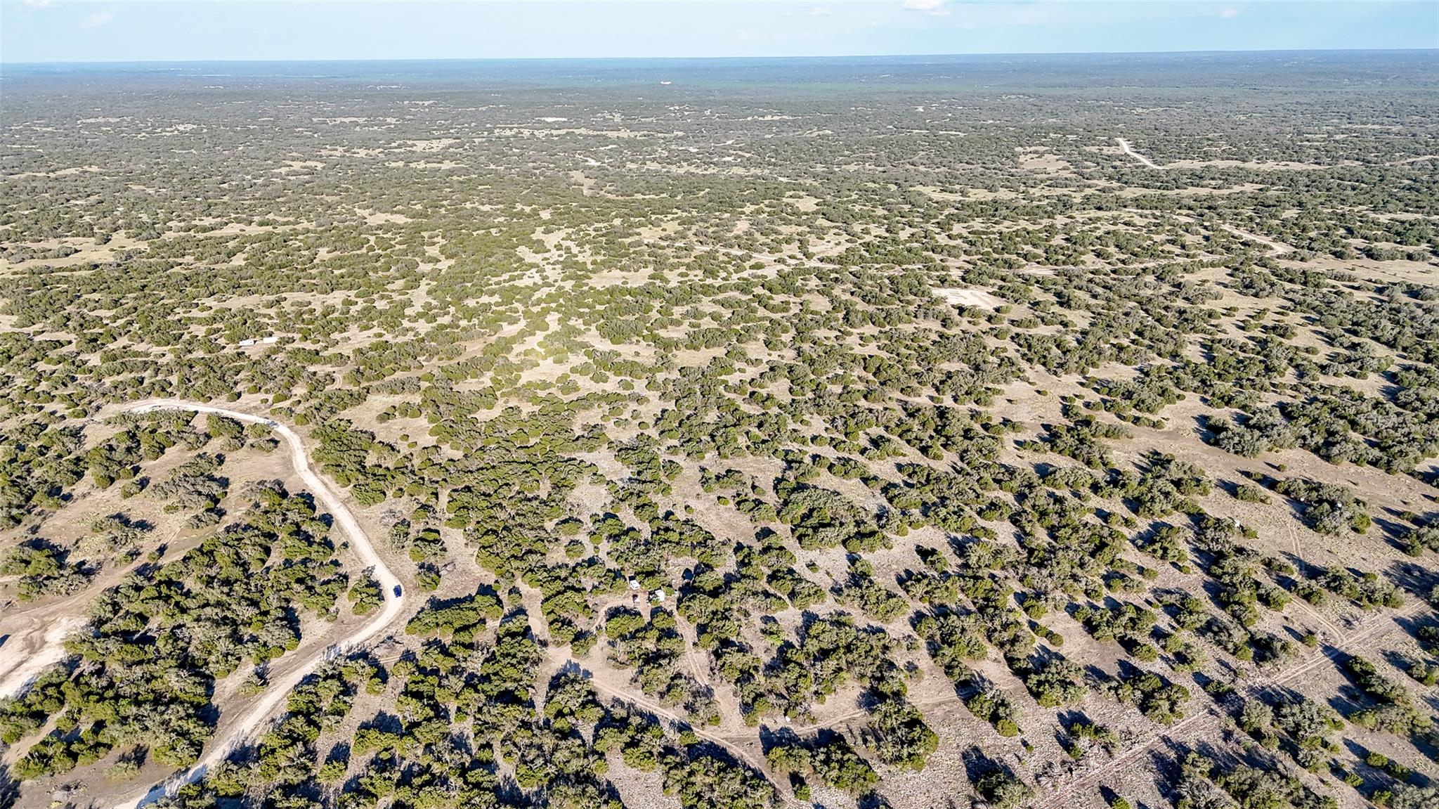 1595 Blackbuck Drive E Eldorado TX 76935