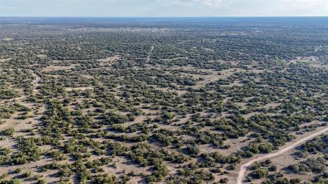 1595 Blackbuck Drive E Eldorado TX 76935